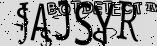 Retype the CAPTCHA code from the image